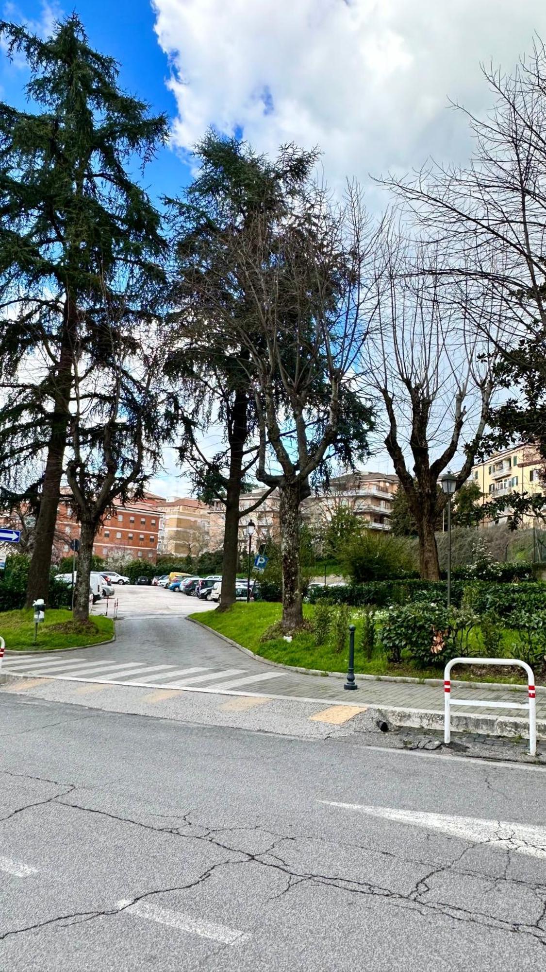 Dolce Apartments Albano 阿尔巴诺拉齐亚莱 外观 照片